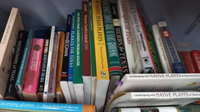 Books on Texas plants and ceramics collection.