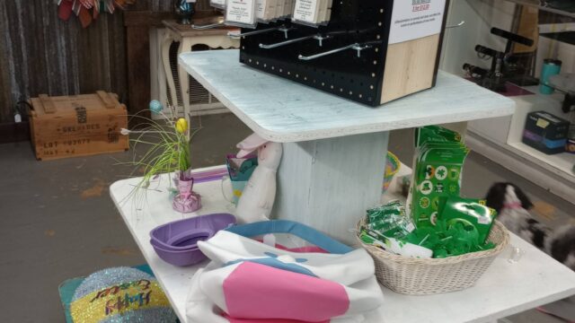 Pet supplies display with various colorful items.