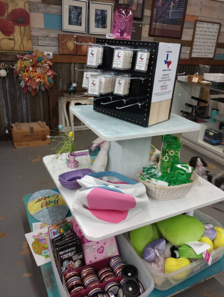 Pet supplies display with various colorful items.